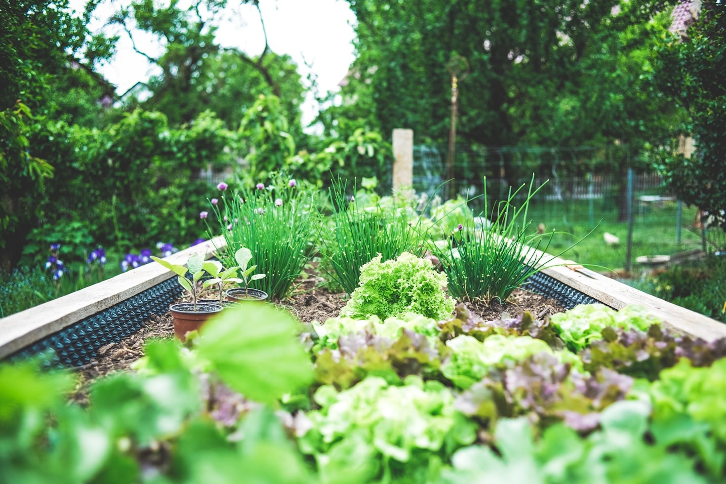 5 Benefits of Professional Urban Garden Management