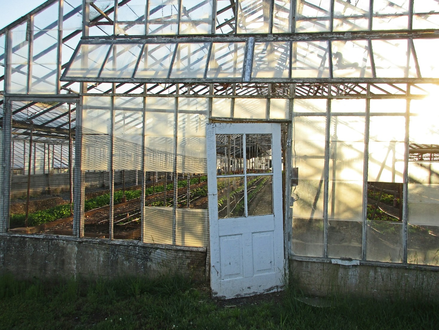 Innovations in Urban Gardening Techniques